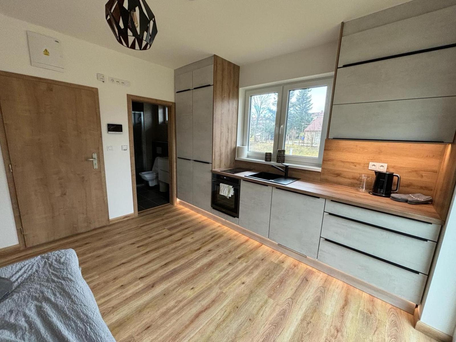Apartmany U Plaze Lipna - Male Lipno Černá v Pošumaví 外观 照片